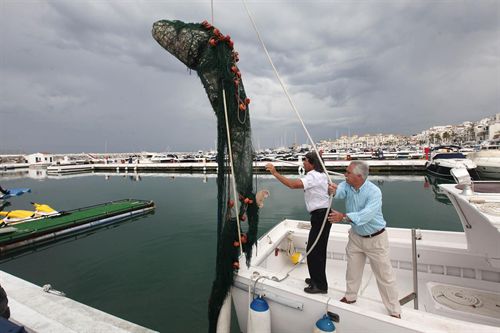 Recuperan el cadáver de un cetáceo de 500 kilos varado en la playa de Puerto Banús en Marbella (Málaga)