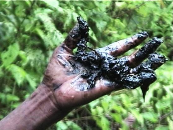 Un juez rechaza el recurso de Chevron por contaminar una selva en Ecuador