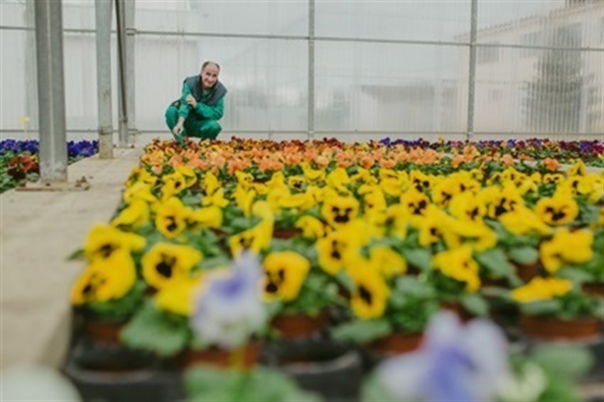 Triodos Bank lanza la IV edición de su premio que reconoce a las empresas que impulsan la agenda de la sostenibilidad