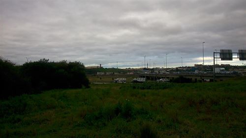 45 caballos ‘abandonados’ entre Tablada y el parque Vega de Triana (Sevilla)