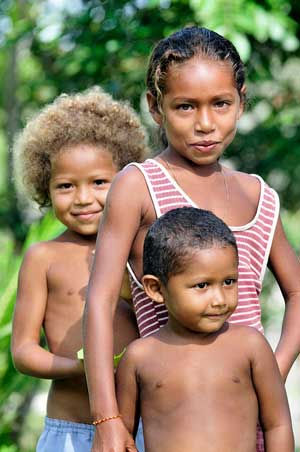 Que levante la mano el verdadero propietario: Confusión en la tenencia de tierras pone en peligro REDD+ en Brasil