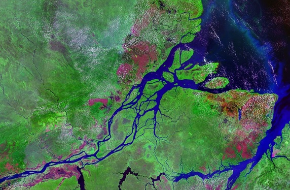 Brasil es líder mundial en la reducción de emisiones de CO2