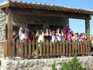 Disfruta de un verano diferente con SEO/BirdLife