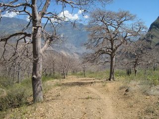 Denunciados 7 motoristas por circular en lugares prohibidos del medio natural