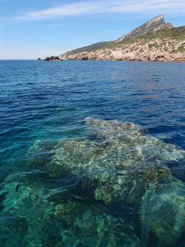 El Consell destaca que el Parque de sa Dragonera apuesta por la conservación con el control del número de visitantes