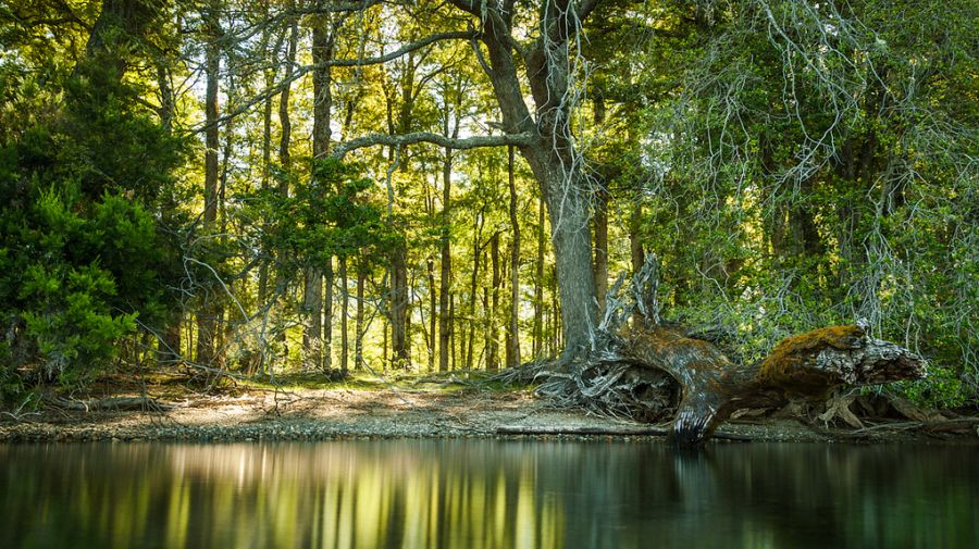 Eventos sobre el clima en febrero