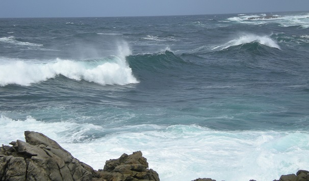 CO2 + cambio climático + acidificación oceánica