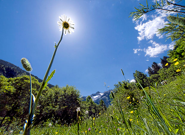 Custodia del territorio