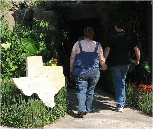 PSOE quiere un plan para prevenir la morbilidad y la mortalidad por causas ambientales