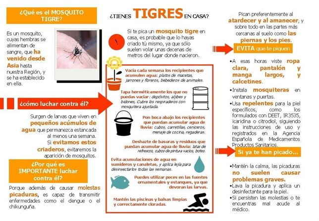 Alerta con el mosquito tigre en Murcia