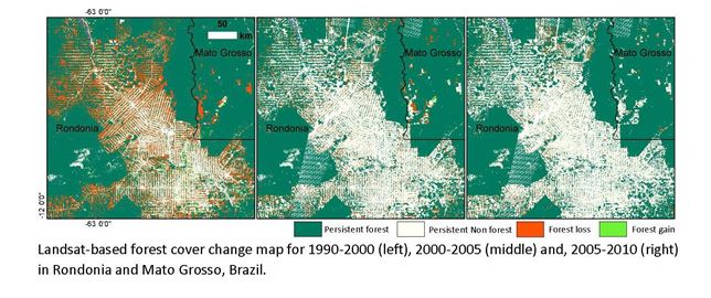 La selva tropical mengua exponencialmente