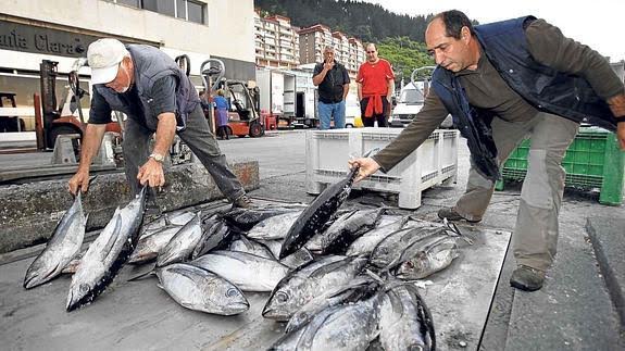 Cantabria trabajará por la viabilidad del sotck del bonito y el buen estado del mar
