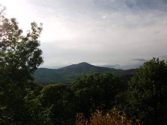 Fumigaciones ‘salvajes’ en la Sierra Oeste de Madrid