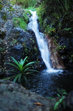 Pesticidas que contaminan las aguas de las galerías en Canarias