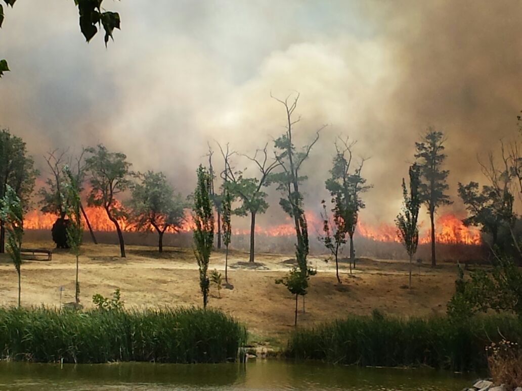 Ingenieros forestales y de montes creen que priorizar en la extinción es contraproducente para futuros focos