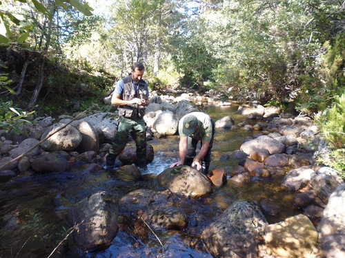 Formarán 270 agentes para la mejora de ecosistemas fluviales y humedales de Castilla y León
