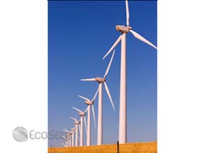 Carbon cut by U.S. wind power minimal or too expensive