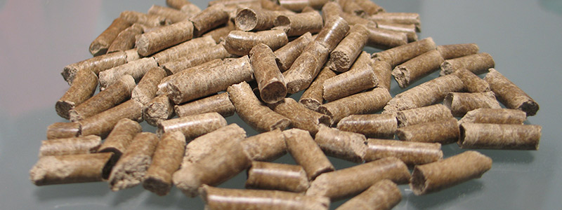 Desarrollan pellets de paja de arroz y frijol