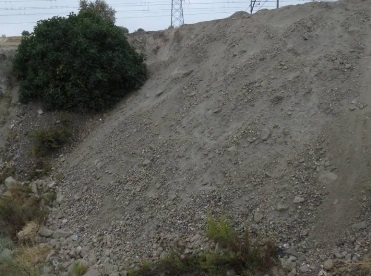 Denuncian vertidos sobre hábitats de interés comunitario en Valdemoro