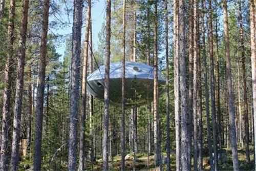 Hoteles en los arboles