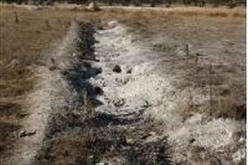 Sevilla remata la descontaminación de Cortijo de Cuarto