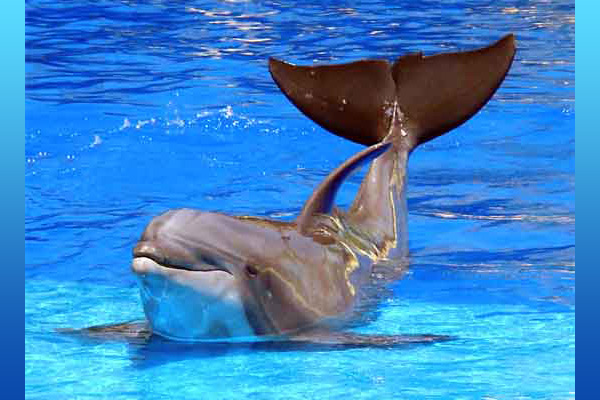 ¡¡Coge tu bolsa reutilizable porque nos vamos de compras!!