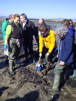 Extremo deterioro de la ría de Arousa
