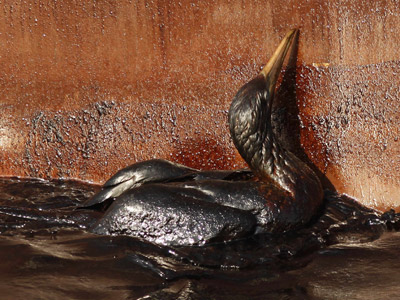 A BP le costará 12.000 millones el vertido el Golfo de México