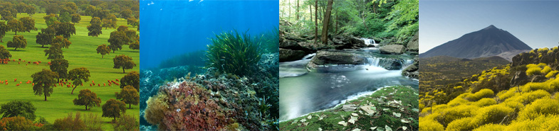 Master en Gestión y Conservación de la Naturaleza es una buena idea para tu futuro laboral