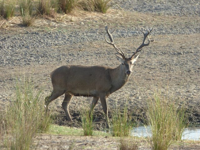 La naturaleza de Huelva en una película documental Los últimos refugios