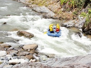 Presentan guía para la protección del medio ambiente