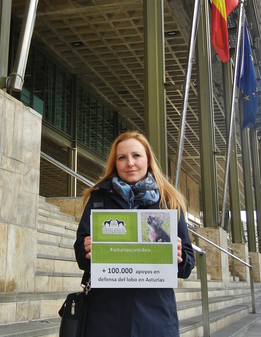 El Observatorio Justicia y Defensa Animal entrega al Gobierno del Principado más de 100.000 firmas en defensa del lobo asturiano
