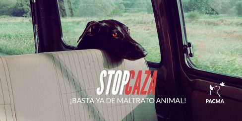 PACMA pide una “condena ejemplarizante” para el responsable de la muerte de nueve perros