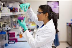 Convocatoria de proyectos de demostración para promover modelos de economía circular en Euskadi