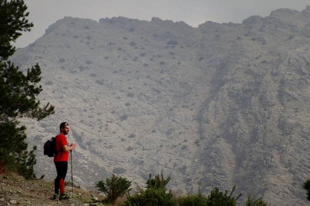 Restauración ecológica de dos montes incendiados en Málaga