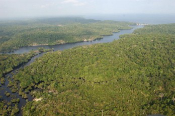 La deforestación de la selva amazónica brasileña cae 40 % entre marzo y abril