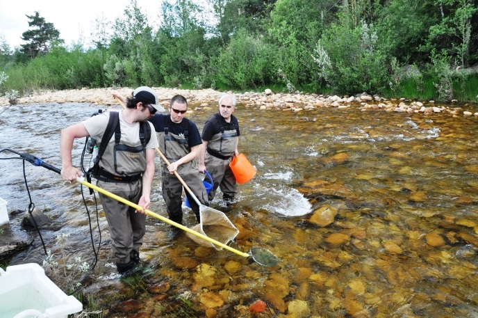 El censo de peces en cuerda del pozo refleja su baja densidad y el futuro comprometido del barbo