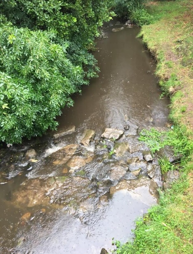 Una nueva sanción por vertidos al río Arlos al Ayuntamiento de Corvera