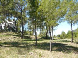 Cataluña mejora la seguridad de las urbanizaciones frente a los incendios forestales