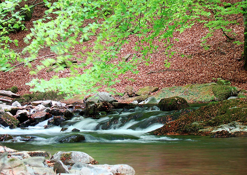 Medio Ambiente destina 580.000 euros a varias entidades para proyectos de rehabilitación ambiental