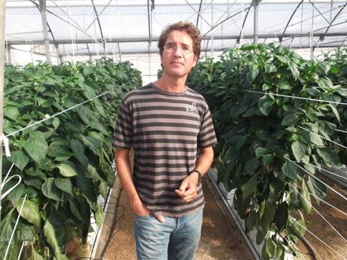 Una investigación apunta la capacidad de los invernaderos para enfriar ecosistemas locales