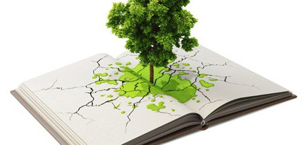 La memoria de sostenibilidad en el siglo XXI