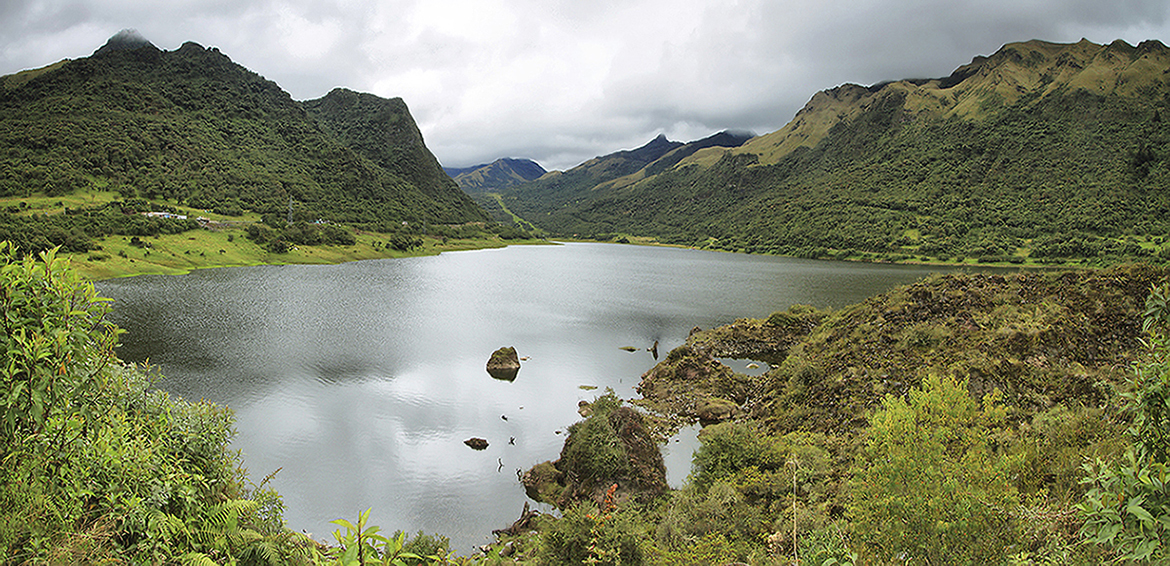 Infraestructuras verdes en Latinoamerica