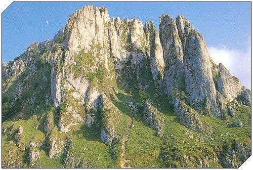 Cambios en los presupuestos del área de Sostenibilidad y Medio Natural de Bizkaia