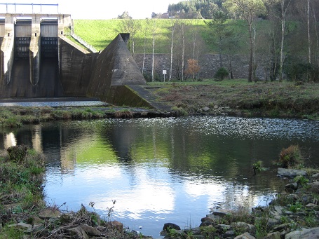 El Principado de Asturias sigue esquilmando los salmones del Trubia