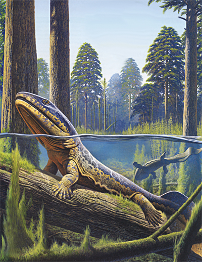 Historia evolutiva de los anfibios