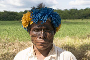 Coca-Cola envuelta en la lucha territorial de los indígenas brasileños
