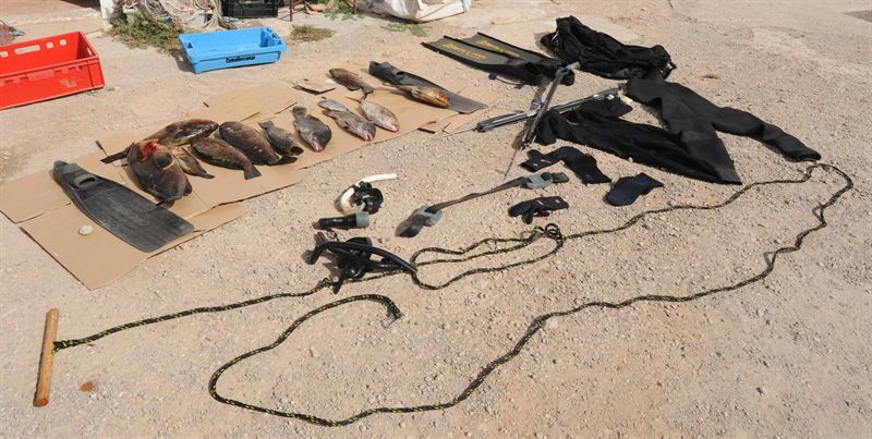 Interceptadas 11 piezas de pesca capturadas ilegalmente en Cabrera