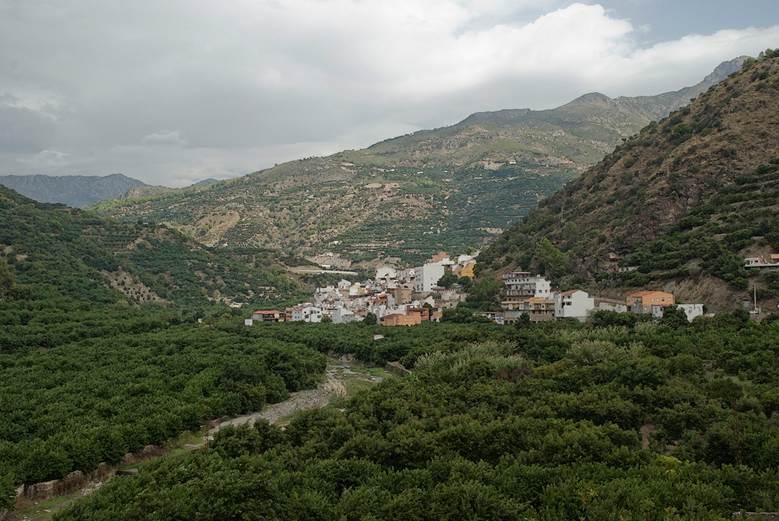 Incendio forestal en el paraje El trapichuelo situado en Jete (Granada)