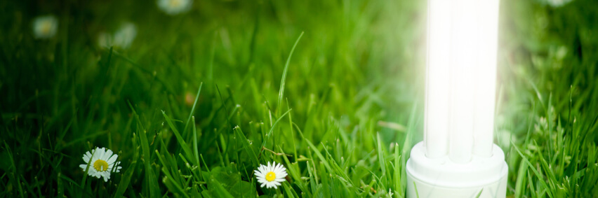 Este es el máster en Eficiencia Energética y Sostenibilidad que está arrasando